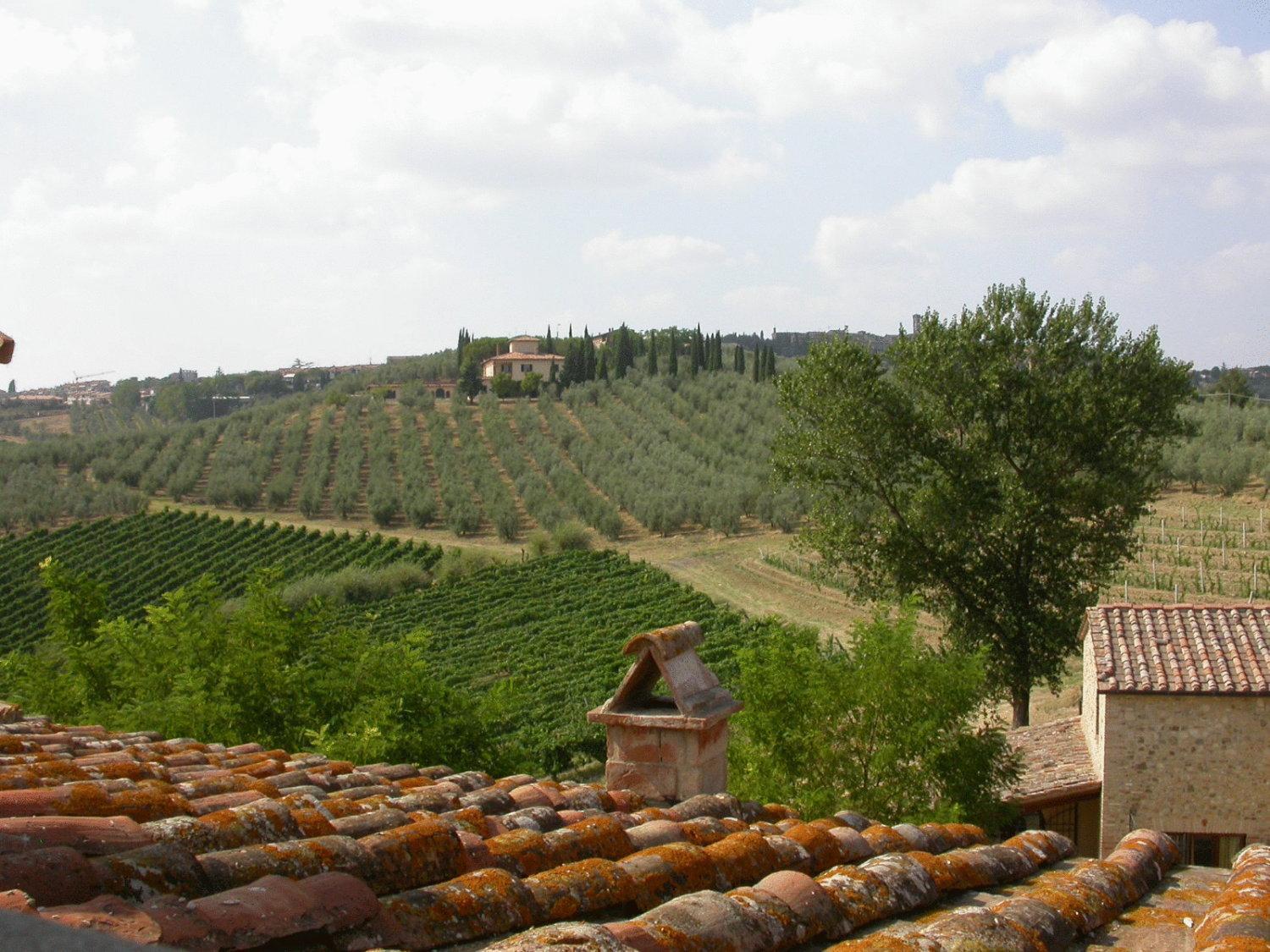 Agriturismo Torraiolo Barberino di Val dʼElsa Exterior foto