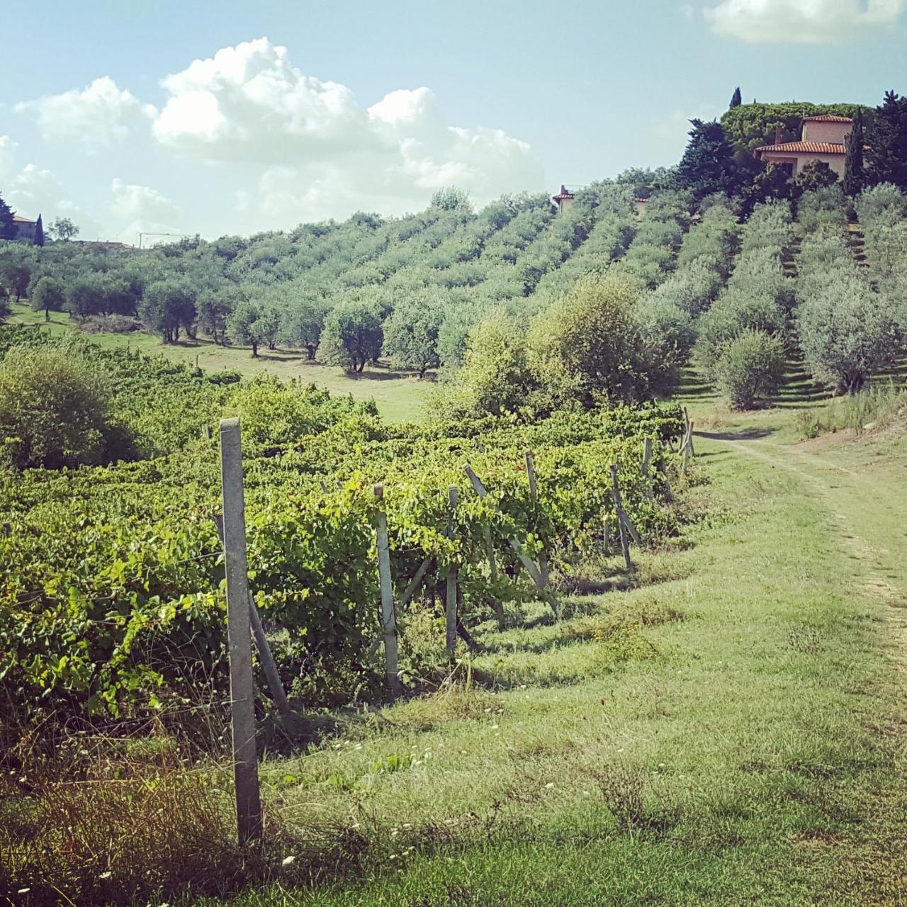 Agriturismo Torraiolo Barberino di Val dʼElsa Exterior foto